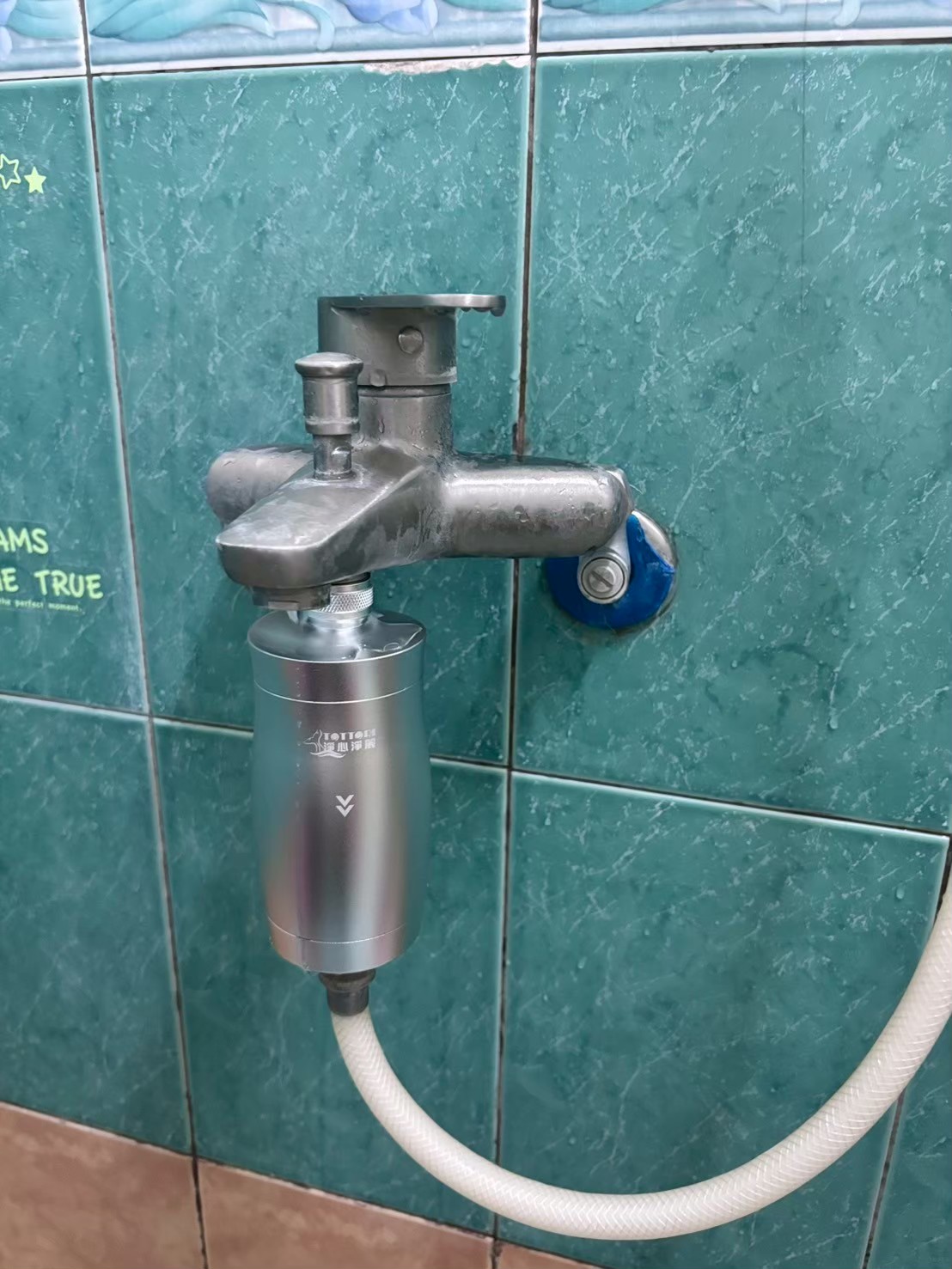 浴缸龍頭前端沐浴淨水案例